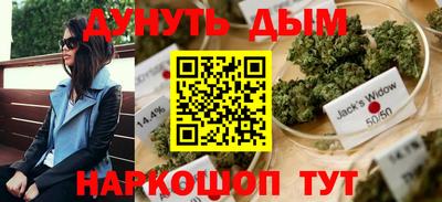 spice Нальчик
