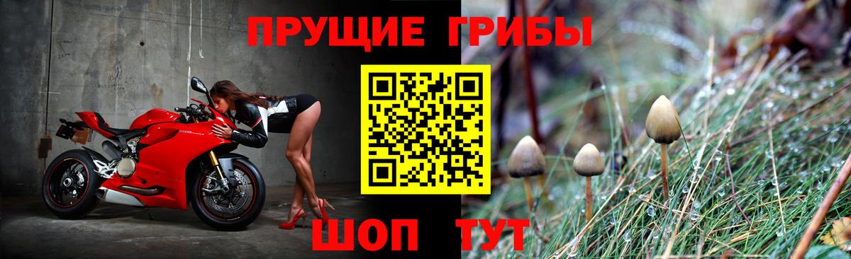 Галлюциногенные грибы ЛСД  Вход с VPN  Галлюциногенные грибы прущие грибы  Стрежевой 